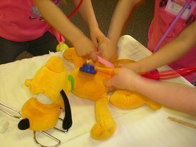 Playing vet
