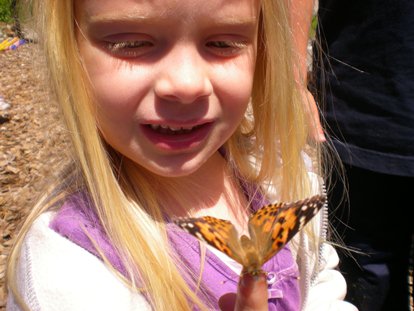 Butterfly_meeting_web